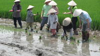 Agricultural Tour in Hoi An