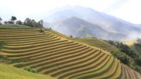 Morning Central Highlands Hilltribe Visit from Sapa