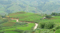 Muong Hoa Valley Bike and Hike Half-Day Tour
