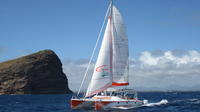 Catamaran Cruises Mauritius- Full Day Cruise to Ilot Gabriel