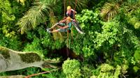 Treetop Climbing in Manaus