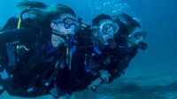 Diving Tour at Bona and Otoque Islands