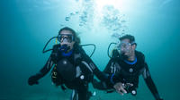 Drake Island and Wreck of B-45 Airplane Experience for Certificate Divers