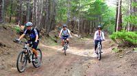 Mountain Bike Tour on Mount Etna