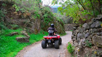 Mt Etna Off-Road Quad Bike