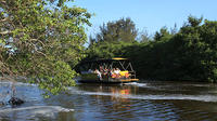 Excursão turística de barco pelo pantanal carioca com opção de almoço