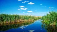 The Delta nearby Bucharest seen by boat