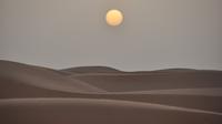 Safari dans le désert de Dubaï: spectacle Tanoura, traversée des dunes et dîner barbecue