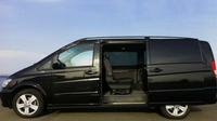 Saint Petersburg Pulkovo Airport Transfer Service