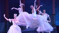 Walexcursie in de avond: privétour door theater Sint-Petersburg en avondvoorstelling Russisch klassiek ballet Walexcursie in de avond: privétour door theater Sint-Petersburg en avondvoorstelling Russisch klassiek ballet
