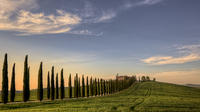 Private Tour: Medieval Val d'Orcia by Minivan from Florence