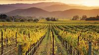 Small Group Chianti at Sunset Wine Tasting Tour from Florence