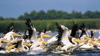 Full-Day Private Tour to The Fascinating Danube Delta from Bucharest