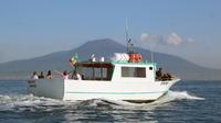 Sorrente à Pompéi et Mt. Vésuve en bateau
