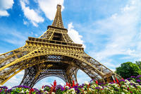 Accès prioritaire au sommet de la tour Eiffel et dégustation gastronomique Accès prioritaire au sommet de la tour Eiffel et dégustation gastronomique