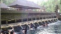 Full-Day Bali Island Tour