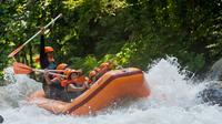 Full-Day Bali Island Tour Including Rafting and Optional Spa Treatment