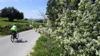 7-Day Sicile Bike Tour du baroque Colline incluant l'hébergement en 3 ou 4 étoiles Hôtels