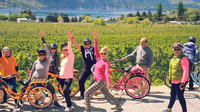 Chelan Electric Bicycle Winery Tour 