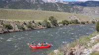 Scenic Float on the Yellowstone River