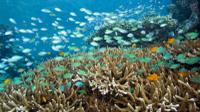 4-Day Bali Underwater Wonderland Tour: Tulamben plongée sous-marine, Sidemen et Tirta Gangga