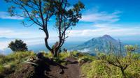 Mt. Merapi Slopes Hiking Day Trip from Yogyakarta