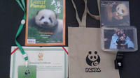 Dujiangyan Panda Base with Optional Volunteering and Photo-taking with Panda