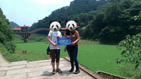 Private Chengdu Giant Panda Base and Leshan Giant Buddha Trip by High-Speed Train