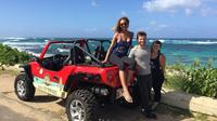 North Shore Oahu Dune Buggy Driving Full Day Tour