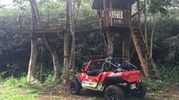 Off Road Dune Buggy Tour