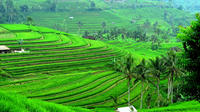 Ancient Temples and Jatiluwih Rice Terrace Private Tour