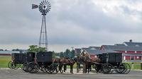 Private Day Trip New York pour Amish Country avec Amish Guides mennonites