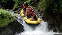 White Water Rafting at Ayung River