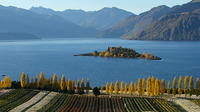 Wine Tour avec dégustation de vin de Wanaka