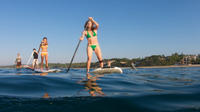 Stand Up Paddleboard Sightseeing Tour