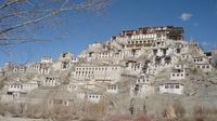 Full day Tour Leh Shey Palace Thiksy Monestery and Hemis Monastery