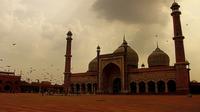 Private Bhopal Tour: State Museum Tribal Museum of Man Bharat Bhawan Taj UI Masjid Moti Masjid Upper Lake Birla Temple