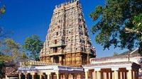 Private Tour: Madurai Day Tour of Gandhi Museum and Meenakshi Amman Temple