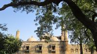 Vadodara et Champane Visite guidée Journée de Ahmedabad