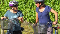 Full-Day Marlborough Wine Region Guided Bike Tour