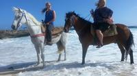 Private Horseback Ride and Island Tour in Aruba image 1 Private Horseback Ride and Island Tour in Aruba image 1