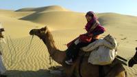 Full-Day Small-Group Camel Safari In Jaisalmer