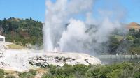 Full-Day guidée Rotorua Visite guidée