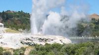 Shore Excursion: Fully Guided Rotorua Sightseeing Tour including Tauranga and Mt Maunganui