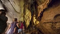 Cutta Cutta Caves Nature Park Guided Tours