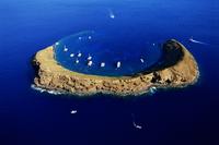 Luxury Molokini One Stop Snorkel Sail