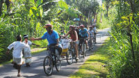 Half Day Lombok Bike Tour - Pengsong Temple Route