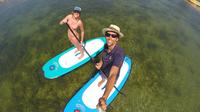 Door County Paddle Board Rental