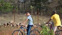 VTT Excursion d'une journée à Bandhavgarh