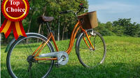 Central Park Bicycle Rental